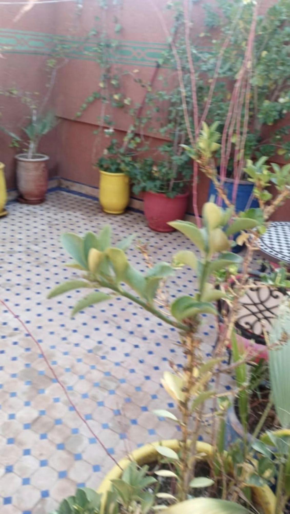 Charmant Riad Au Coeur De Marrakech Marrakesh Ngoại thất bức ảnh